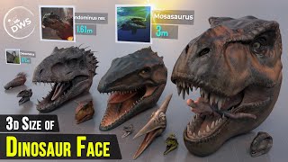 DINOSAUR FACE ► Size Comparison Smallest to Biggest [upl. by Aisyat]