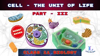 Cell  The Unit Of Life  PART  III class 11 Biology  NCERT  COHSEM  CBSE [upl. by Nosrej70]