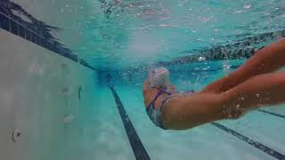 Steve Wallen Swim School  Competitive Swimming Lessons El Dorado Hills and Roseville [upl. by Wynne]