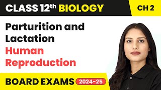 Parturition and Lactation  Human Reproduction  Class 12 Biology Chapter 2  CBSE 202425 [upl. by Doolittle]