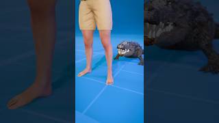 How To Escape An Alligator Death Roll 😨  Melon Playground alligator [upl. by Siednarb117]