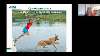 Cyanobacteria Harmful Algae What you need to know [upl. by Enneite]