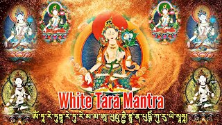 ☸White Tara Mantra With Words Dolma Mantraསྒྲོལ་མ་དཀར་མོའི་མཚན་སྔགསInner Peace Mantra Recitation [upl. by Anayaran]