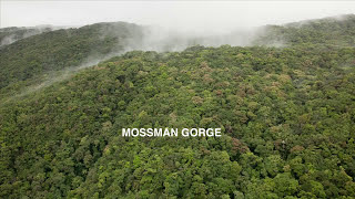 Take virtual tour through the Daintree  Mossman Gorge [upl. by Beatriz]