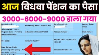 आज विधवा पेंशन का पैसा डाला गया जल्दी चेक करें  UP Vidhwa Pension Kab Aaegi 2024  Pension UP [upl. by Mcclary777]