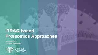 Proteomics Quantification iTRAQ [upl. by Darbee]