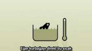 Kaynayan Kurbağa Sendromu [upl. by Eslek]