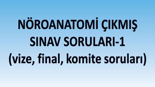 Nöroanatomi Örnek Sınav Soruları 1  Vize Final Komite [upl. by Oberstone]