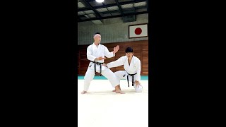 Be strong with the correct posture【Budo Karate】 [upl. by Luckett]