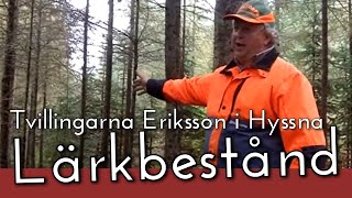 Tvillingarna Eriksson i Hyssna Lärkbestånd [upl. by Peck]