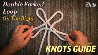 Double Forked Loop On the Bight  Nots [upl. by Kittie918]