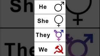 All genders meme [upl. by Bartolomeo]