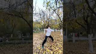 Tai chi Actions practice Chinese martial arts kungfu martialarts taichi taichinhtieudung action [upl. by Chesnut]