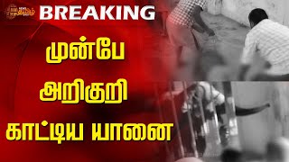 BREAKING  முன்பே அறிகுறி காட்டிய யானை  Thiruchendur  Elephant Issue  newstamil24x7  Tamilnews [upl. by Nicolau268]