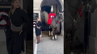 King’s Guard Horses what a warm look ❤️❤️ royalguards horse viralvideo london shorts [upl. by Teresa]