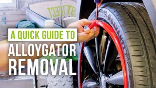 Removing Your AlloyGator A Simple StepbyStep Guide [upl. by Aerdnaxela]