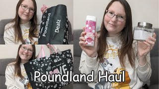 Poundland Haul February 2024 poundland poundlandhaul poundlandhaul2024 [upl. by Ahtnahc973]