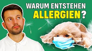 Wie erkenne ich eine Allergie beim Hund Tierarzt klärt auf [upl. by Ettevol550]