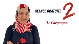 Seance 2 Le caryotype [upl. by Lustig]