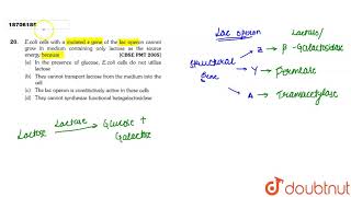 EColi cells with a mutated z gene of the lac operon cannot grow in medium containing only [upl. by Suoirred]