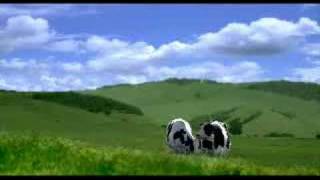 Happy Cows  sheep escape [upl. by Winne]