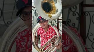 Si se encuentran algo raro CUÍDENLO 😁🎶👌 Coleccionista InstrumentosMusicales Tuba Banda Musico [upl. by Chien229]