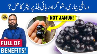 Jabuticaba Ke FaydeIstemal  Jabuticaba A Unique Fruit  Dr Ibrahim [upl. by Seaver]