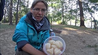 Bushbox XL Outdoor Cooking Scallops on Tagliatelle [upl. by Schmeltzer246]