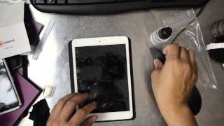 Apple iPad Mini ZAGG InvisibleSHIELD Installation Front and Back [upl. by Yerot]