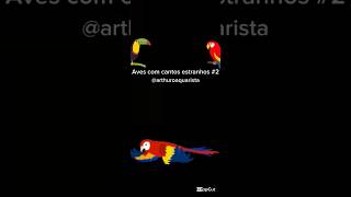 Aves com cantos estranhos parte 2 [upl. by Ehpotsirhc]