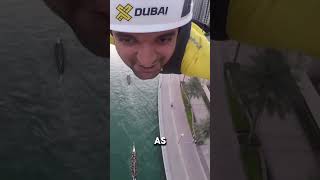 🏙️ XLine Dubai Marina Thrilling Adventures Await on the Worlds Longest Urban Zipline 🚀 dubai [upl. by Einiffit]