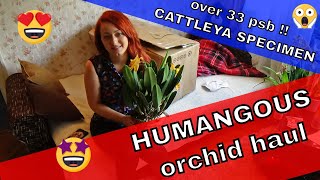 Orchid Unboxing 2018  MAGICAL orchids from Secret Garden [upl. by Sudaorb]