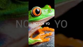 Sana sana colita de rana 🐸 [upl. by Nosle]