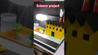 Acid rain working model  science project science project scienceproject [upl. by Uzia]