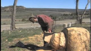 Chainsaw Carve a Bear HowTo [upl. by Hasila]