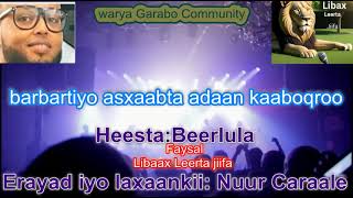 Heesta Berluula by Faysal libaax leerta jiifa [upl. by Ahsercul433]