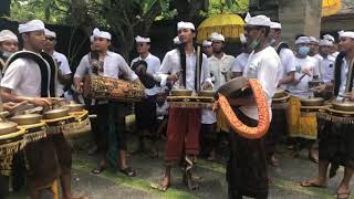 baleganjur bebarongan semarandana Peniti penijoan sukawati [upl. by Etteniuqna]