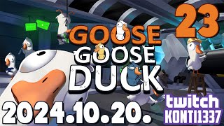 Goose Goose Duck 23 20241020 [upl. by Hedvig]