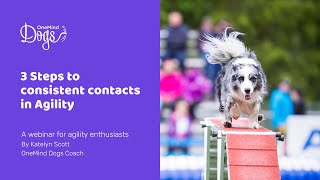 FREE Webinar Dog agility skills 3 steps to consistent contacts [upl. by Gombosi517]