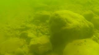 Table Rock Lake  Joe Bald Park Cleanup Dive 1 [upl. by Avin858]