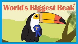 Toucan Song  Fun Dancing Bird Song for Kids  Smiley Rhymes [upl. by Aivatnwahs85]