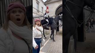 I Shouted for Safety When Common Sense Takes a Vacation – Tourists vs Royal Steeds Shorts [upl. by Ennairac24]