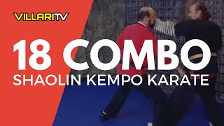 18 Combination  Shaolin Kempo Karate [upl. by Neiv]