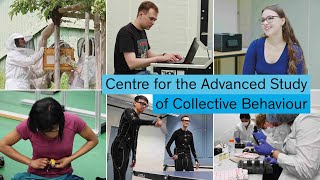 The Cluster of Excellence Centre for the Advanced Study of Collective Behaviour [upl. by Akinnej192]