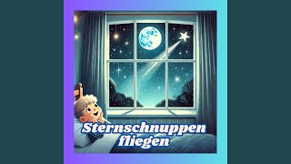 Sternschnuppen fliegen [upl. by Yot]