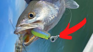 Speckled Trout Tutorial  How To catch Fish Every Cast [upl. by Ynettirb331]