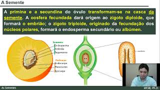 Biologia  Biodiversidade  Aula 18  Botânica  As Sementes [upl. by Nitsuj]