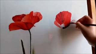 DeArt Papaveri  poppies paintings [upl. by Duile]