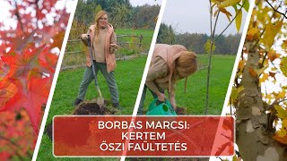 Őszi faültetés Borbás Marcsi Kertem [upl. by Aemat]