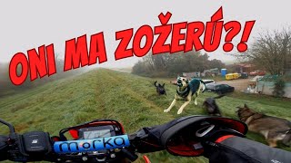 Test zimných doplnkov na Motorku vs Psy [upl. by Ahtela566]